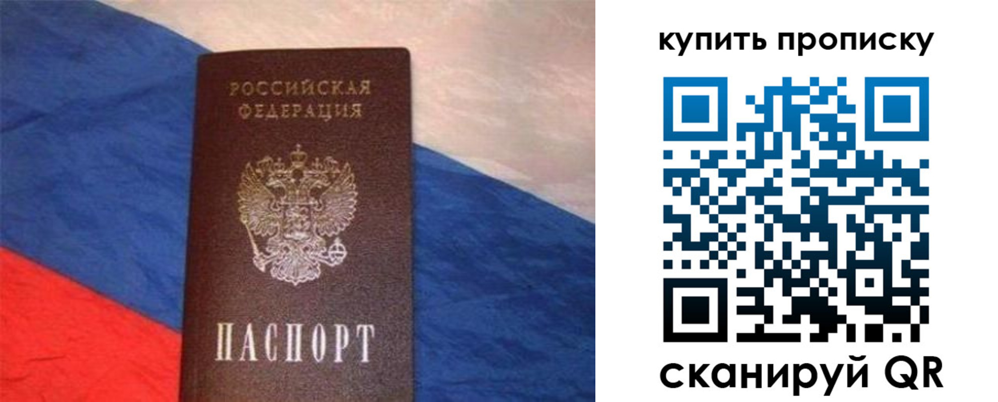 прописка штамп в Мончегорске